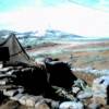 Camp Carroll
