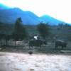 Kid on water buffalo near Ca Lu