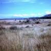 Patrolling N end of Camp Carroll 1967