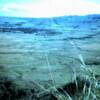 Parolling towards Cam Lo 1967